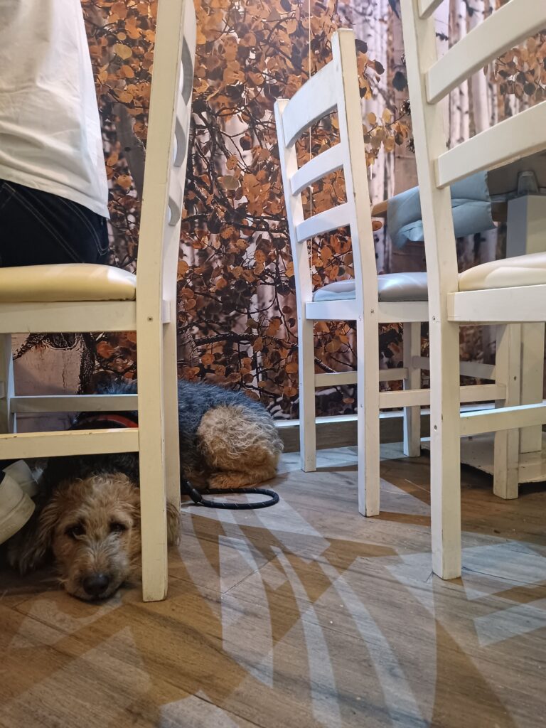 Restaurante el Rodalí