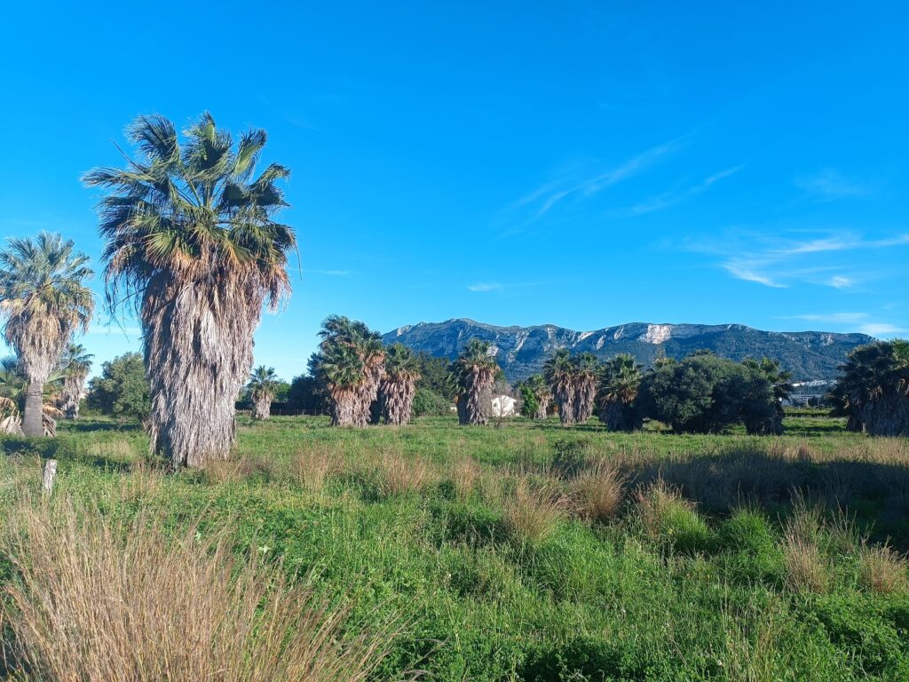 Vía Verde de Dénia